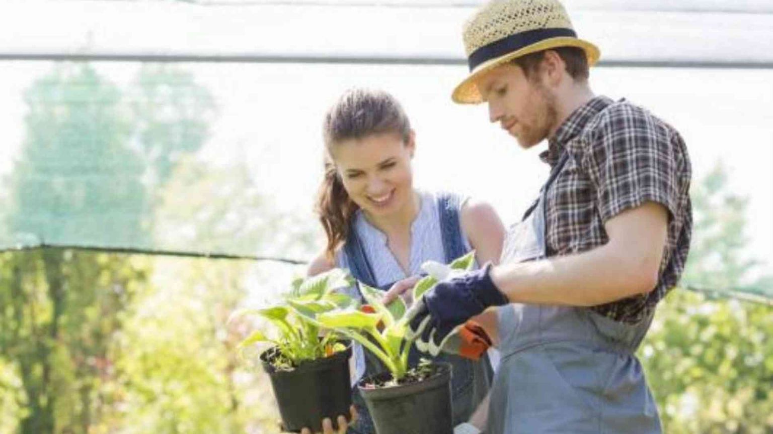 Per le Coop agricole il bisogno di diventare grandi