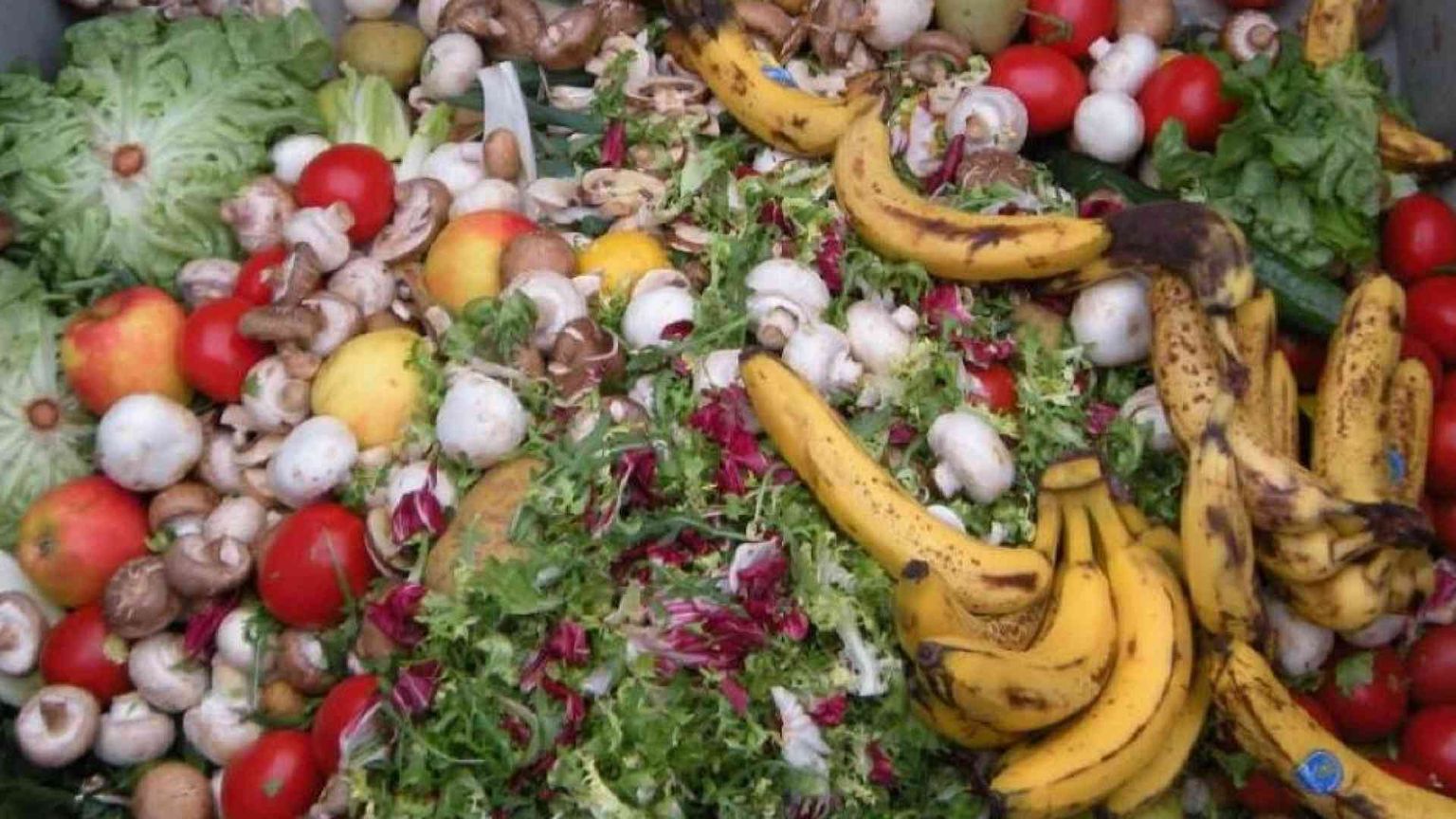 Lo spreco a tavola continua a crescere. E sono i più poveri a buttare più cibo