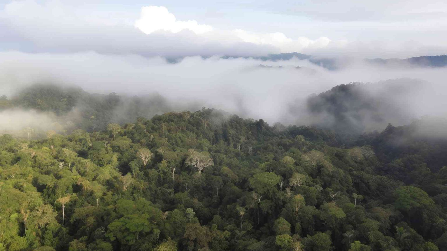 L'Amazzonia dei fiumi volanti: come si cambia per non morire