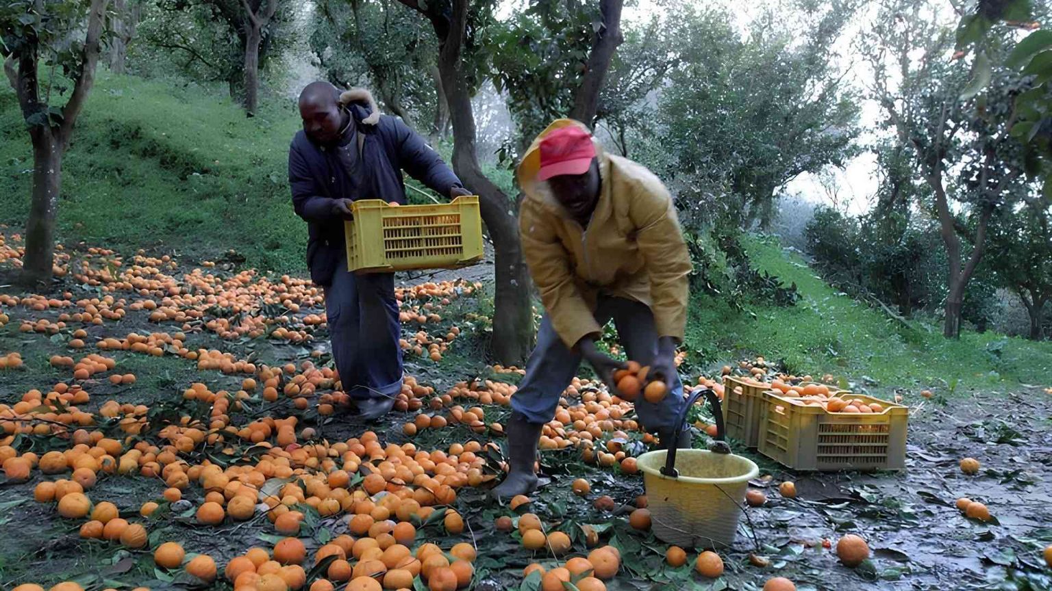 Click day? Per le imprese i conti non tornano