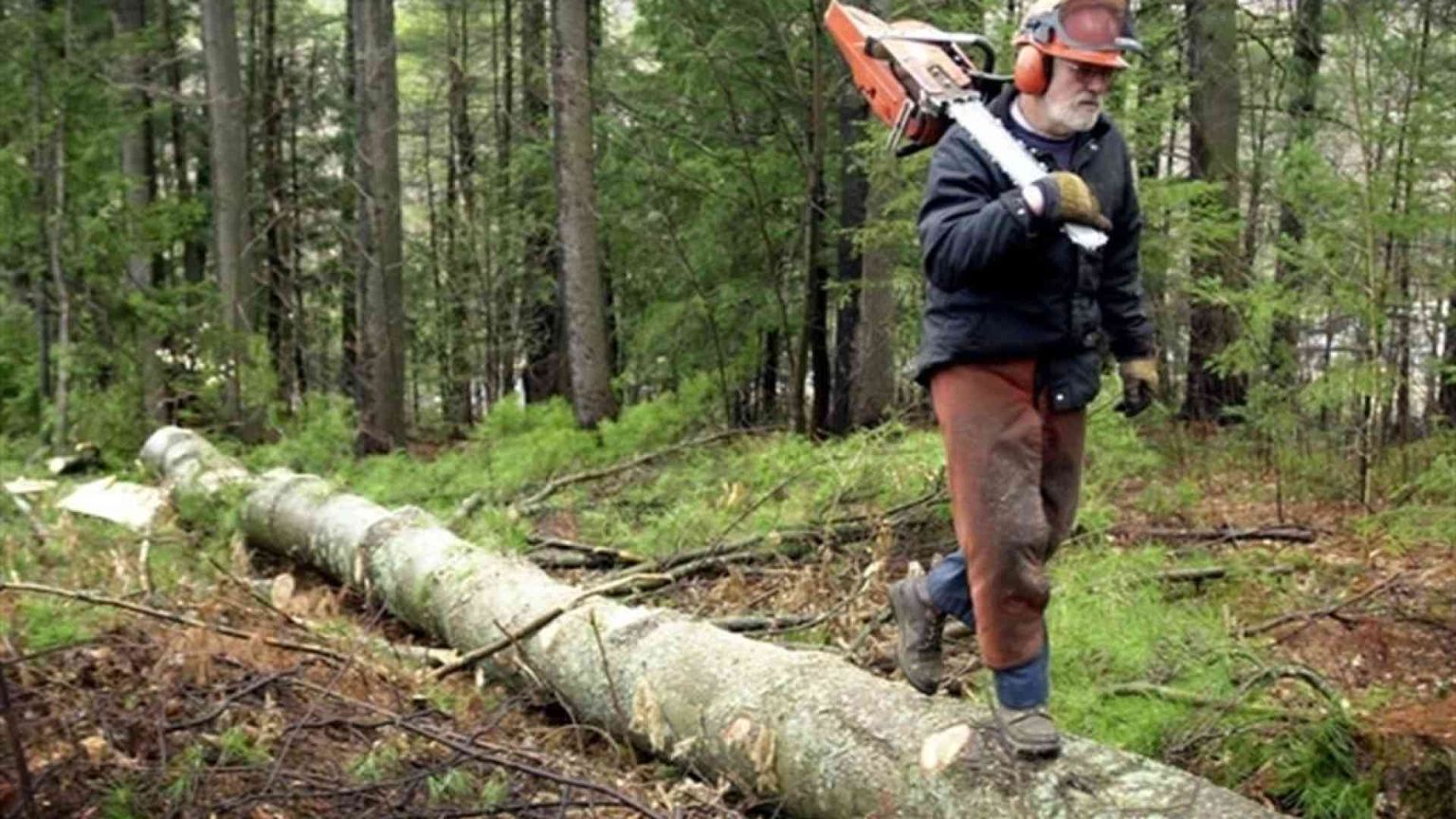 Dalla manutenzione del territorio nuove opportunità di lavoro