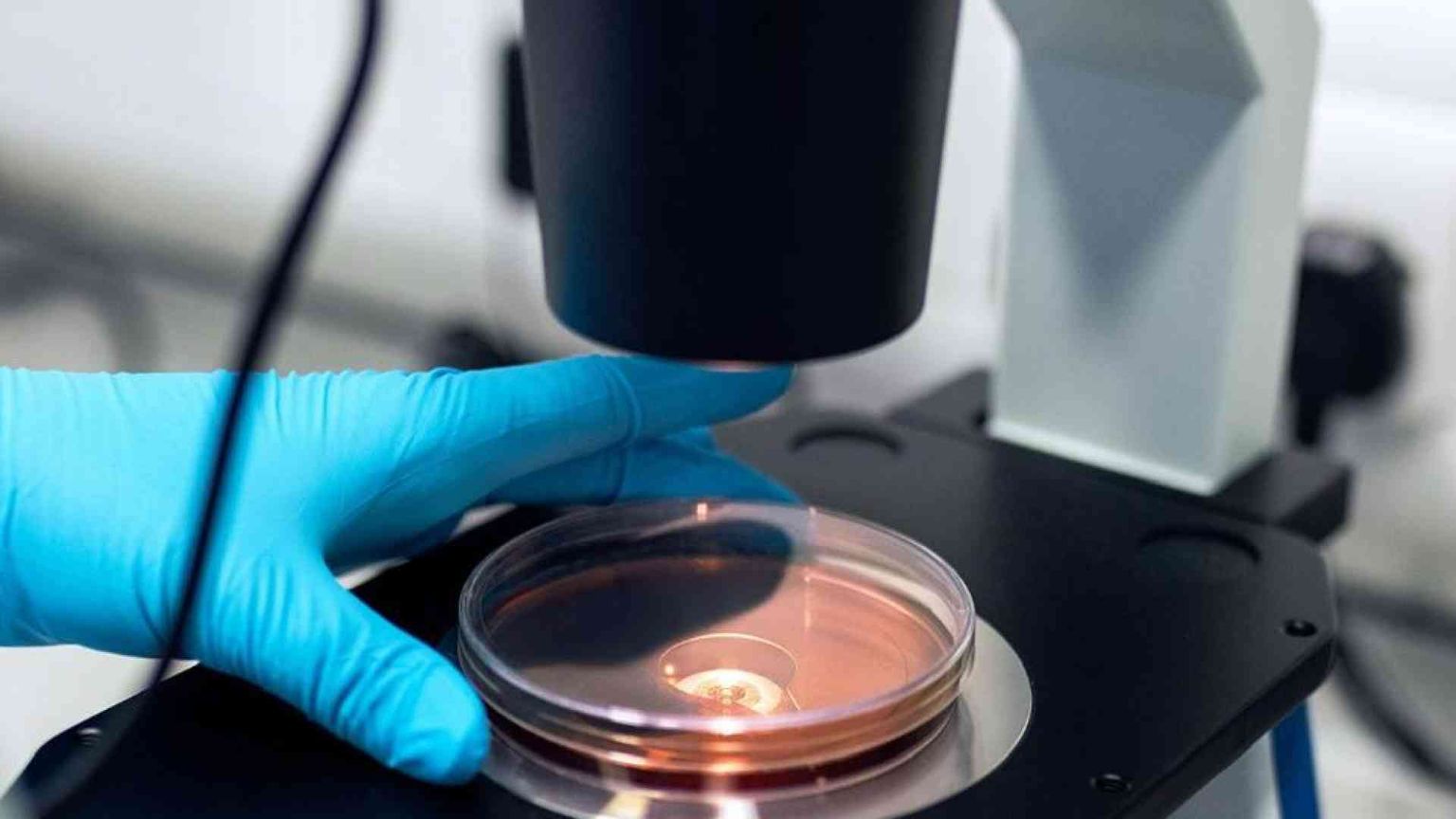 All'Idi di Roma un convegno con le Associazioni dei malati