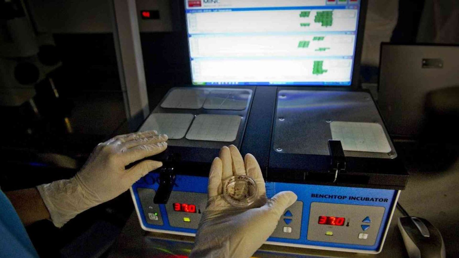 Sono “figli della provetta” 4 neonati su 100. Aumentano gli embrioni congelati