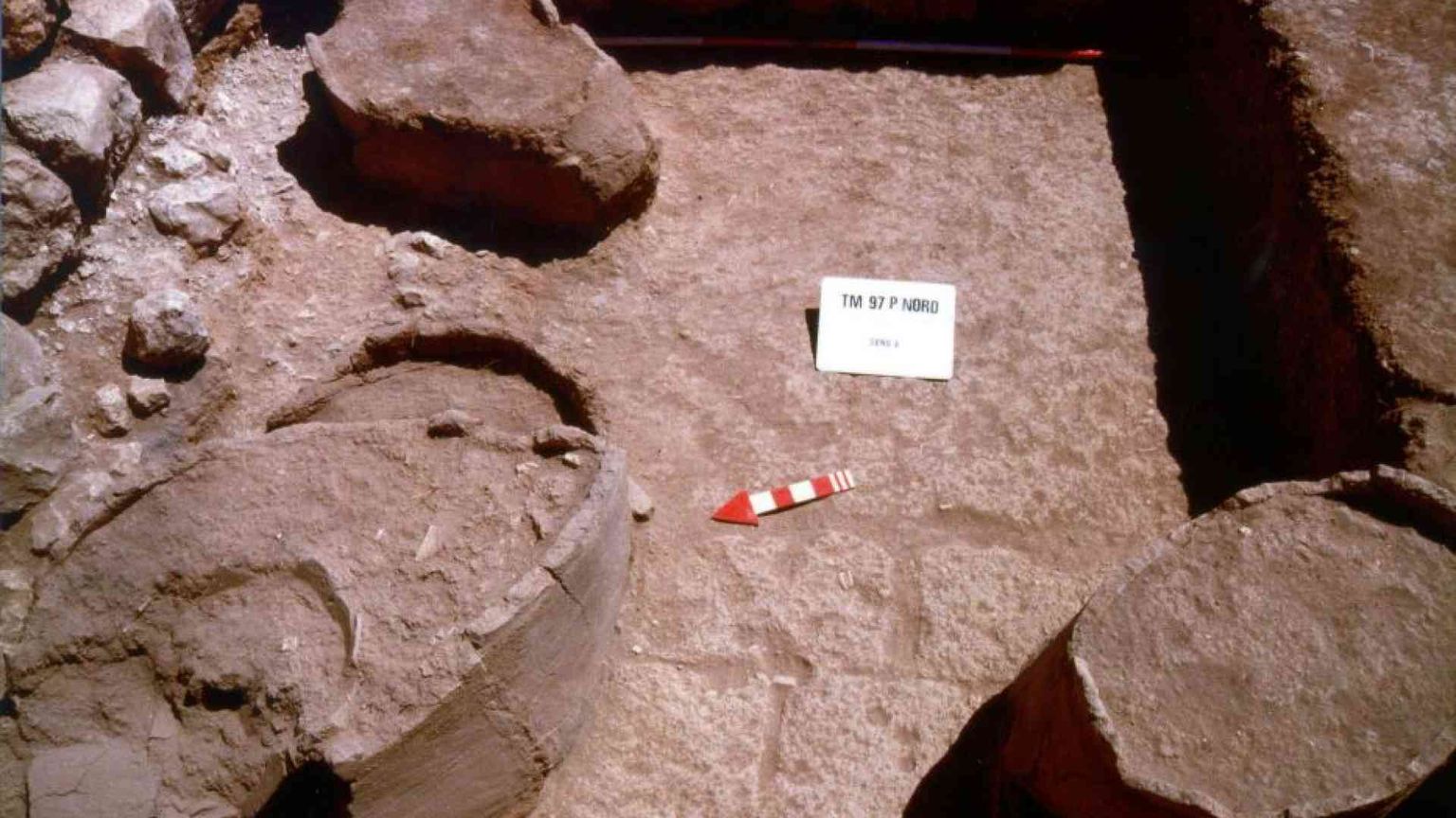 Parla Matthiae: «In Siria ci sono altri tesori, dobbiamo scavare ancora»