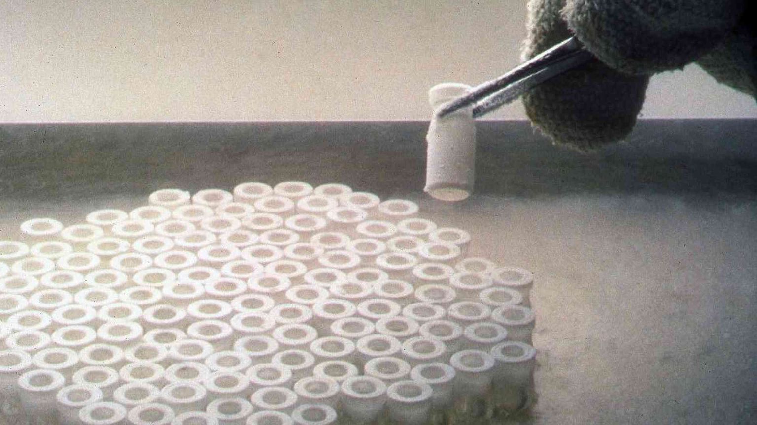 Embrioni congelati, una legge per adottarli? Ma non si sa quanti sono