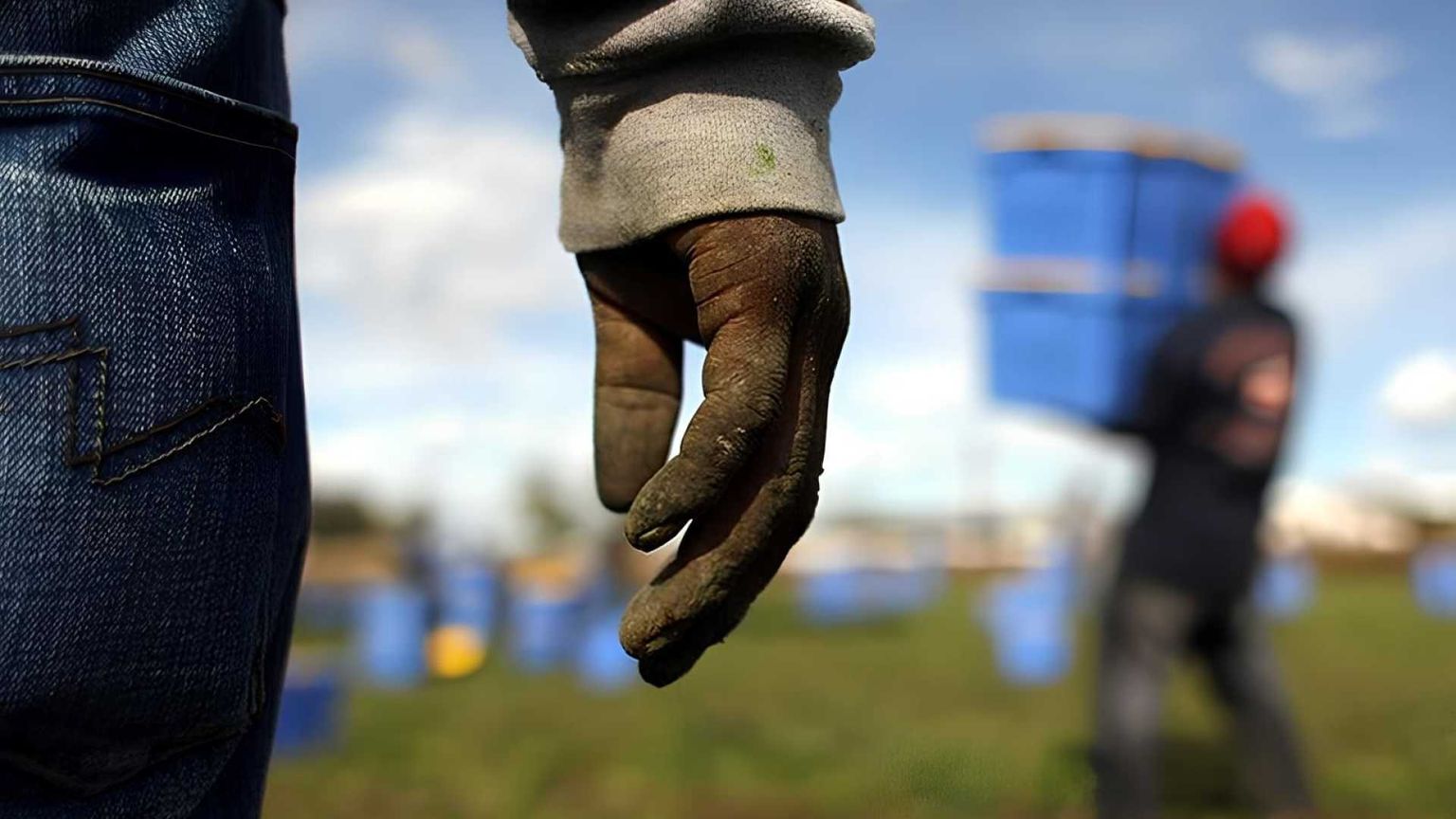 Ti pago 1,6 euro l'ora: lo sfruttamento choc dal supermercato ai campi