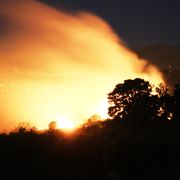 Un incendio può bruciare la casa, i legami aiutano a ripartire