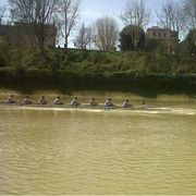 Il "tu" e il "lei" sono convenzioni, non si può licenziare per questo