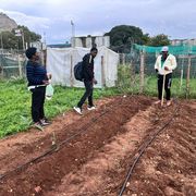 Gli orti di Palermo
affidati ai migranti:
anche così
si fa integrazione