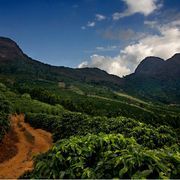 Dall'estrazione alla rigenerazione: così le imprese aiutano il pianeta