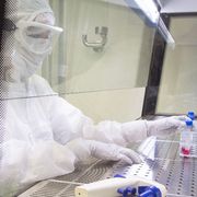 Sette bambini (su otto) con malattie autoimmuni gravi sono guariti grazie alle cellule Car-T