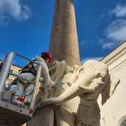 Elefante di Bernini restaurato dopo il distacco della zanna