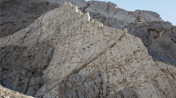 Migliaia di impronte di dinosauri scoperte nel Parco dello Stelvio