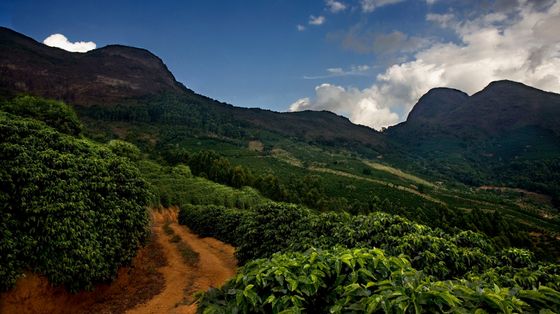 Dall'estrazione alla rigenerazione: così le imprese aiutano il pianeta