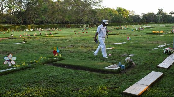 La fiducia che solo il diritto può dare