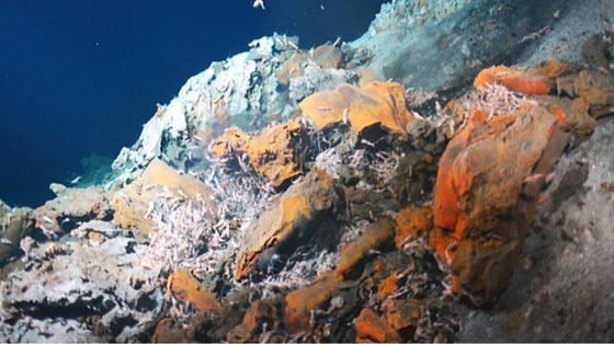 Scoperti batteri che respirano rocce e zolfo. E puliscono l'ambiente