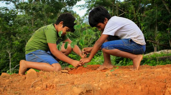 Che cosa serve per accelerare verso una società generativa