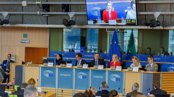 L'Alta rappresentante Ue per la politica estera, Kallas