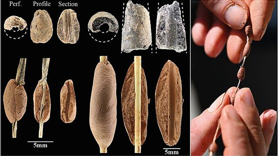 Anche i bambini del Paleolitico giocavano con il pongo