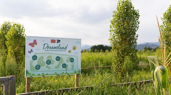 Colori, sogni e sostenibilità: dentro il modello Legami