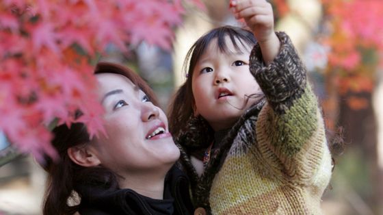La svolta per la famiglia in Giappone: debutta l'affido condiviso in caso di separazione
