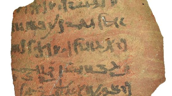 Liste della spesa e quaderni di scuola: scoperti 13.000 nuovi testi degli antichi Egizi