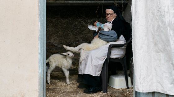 "Agnus Dei", arrivano in sala gli agnellini del Papa