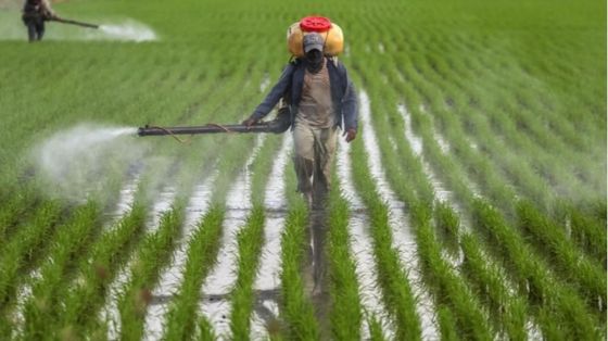 Su fertilizzanti
ed emissioni di CO2
abbiamo un pasticcio
chiamato Cbam