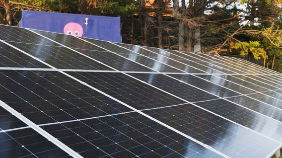 Per le bollette il modello Octopus: «Puntiamo su Cer e rinnovabili»