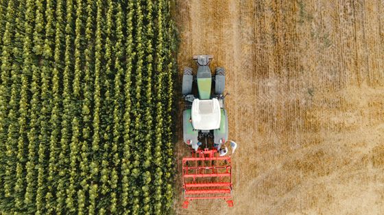L’IA al lavoro anche nei campi: aiuta in chat gli agricoltori