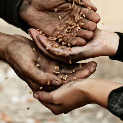 Fare l’elemosina è un dovere cristiano?