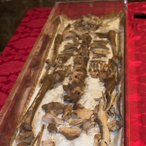 Perché l'esposizione del corpo di san Francesco?