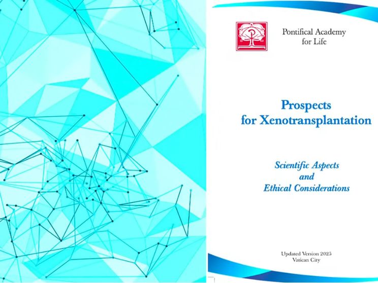 Xenotrapianti, prospettiva che vuole responsabilità e prudenza