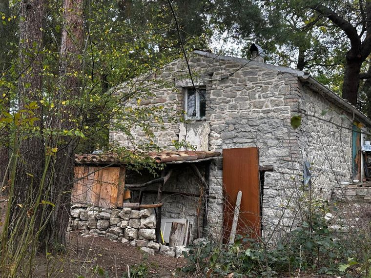 I tre bambini della famiglia nel bosco per ora restano in comunità