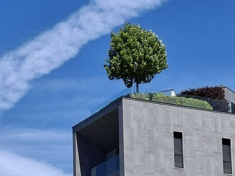 Abbiamo paura di considerare il caldo un tema politico