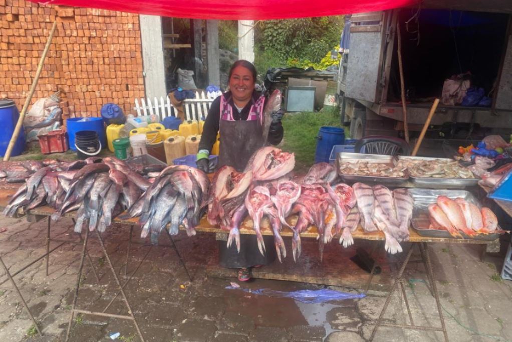 Una donna al lavoro a Salinas