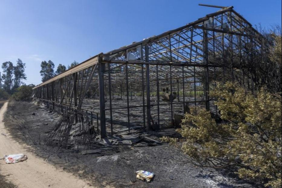 La natura dolosa è stata accertata dalla Forestale per alcuni roghi divampati nel sud dell'isola e nel Nuorese: sono stati trovati gli inneschi che testimoniano l'azione volontaria da parte, finora, di ignoti