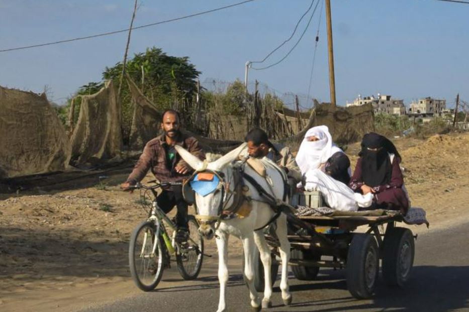 Il trasporto di un ferito