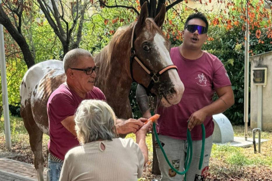 Un'ospite della struttura clinica di Prato corona il suo desiderio di accarezzare un cavallo