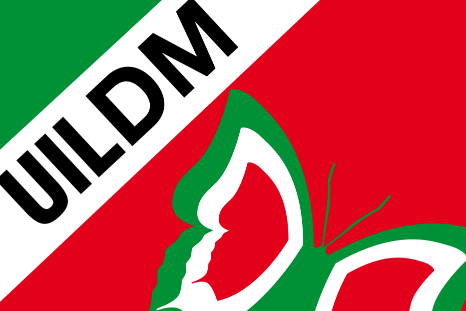 Un dettaglio del logo Uildm