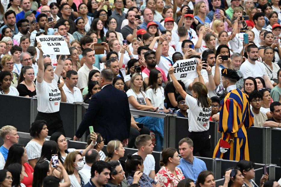 La protesta anti corrida