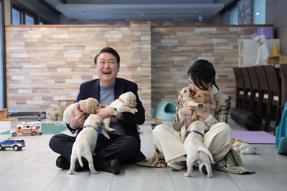 La svolta di Seul, stop al commercio di carne di cane