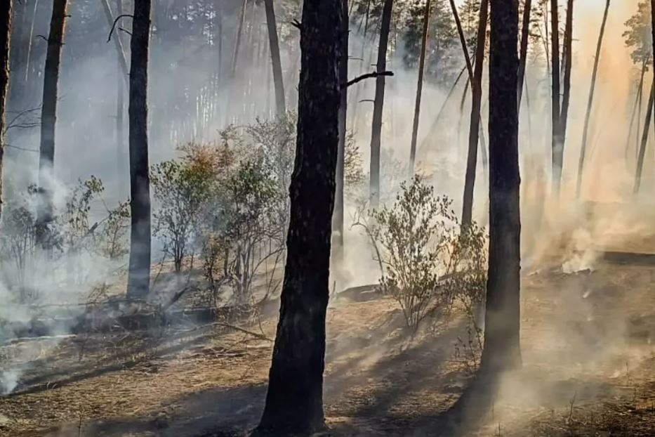 Foto di distruzione in Ucraina