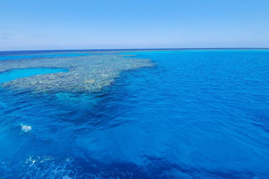 Le acque del Mar Rosso a sud di Marsa Alam