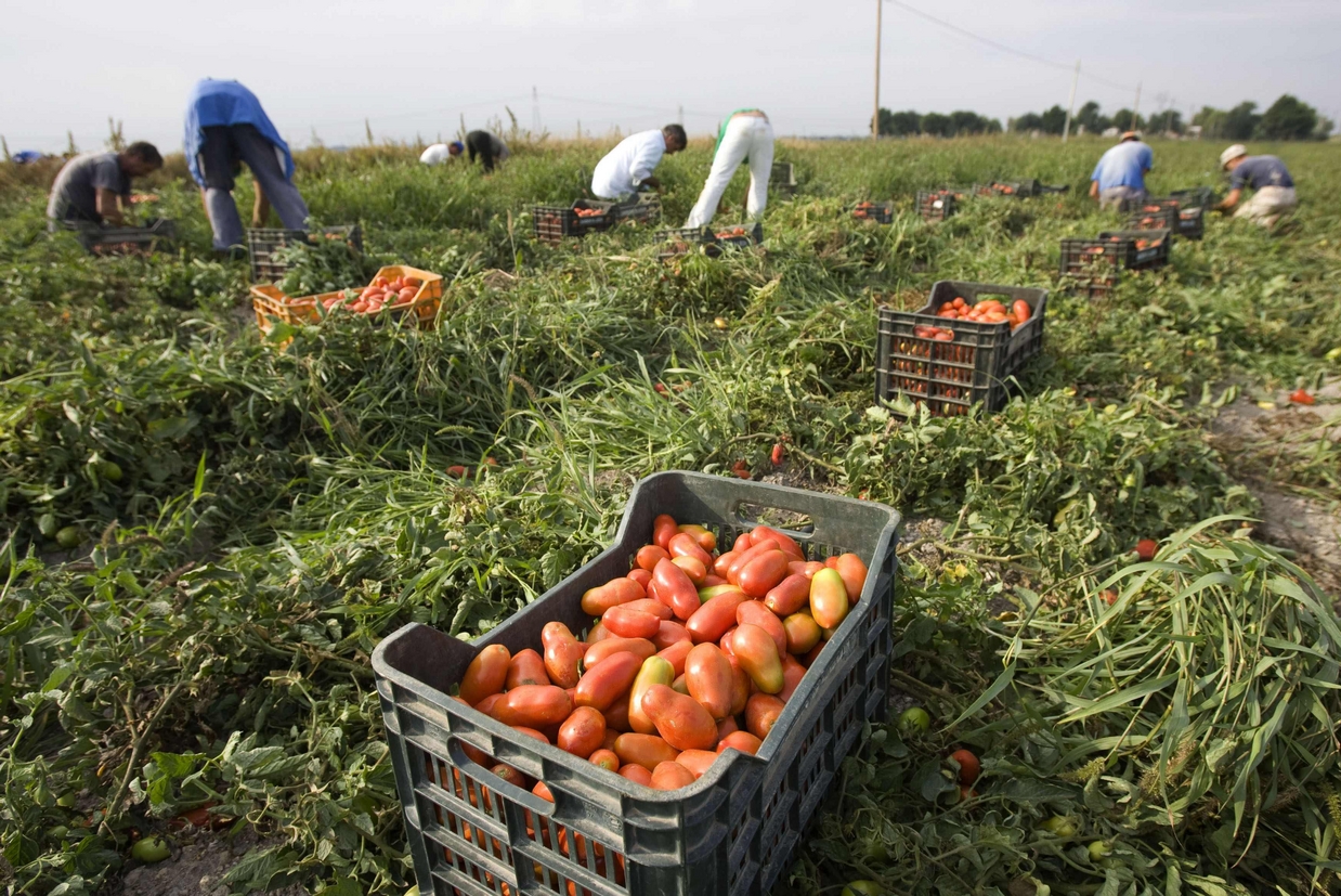 Fior Di Pelle - Scoprendo la Puglia - Il portale delle attività della Puglia