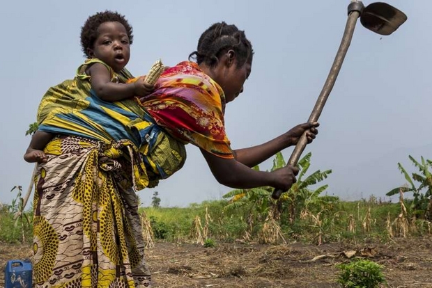 l agricoltura locale antidoto al latifondo che frena l africa