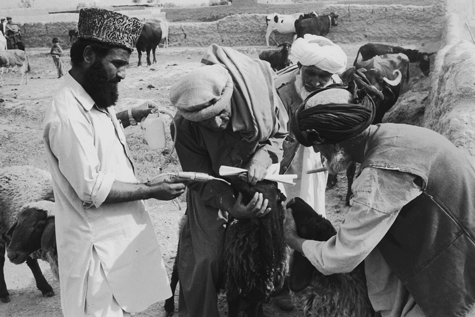 1980 - Afghanistan - L’organizzazione avvia delle attività transfrontaliere per portare assistenza medica e umanitaria ai civili provati dallo scontro tra l’Unione Sovietica e gli afghani