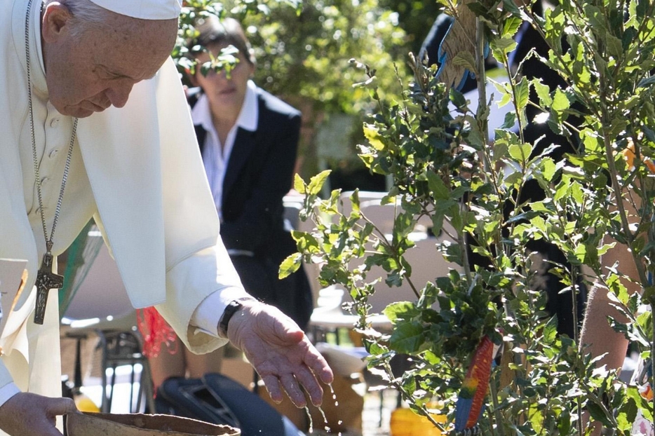 Papa Francesco: la «condivisione» è la ricetta per salvare la Terra