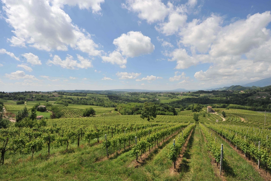 Dall Agricoltura Al Turismo La Produzione Come Fatto Sociale