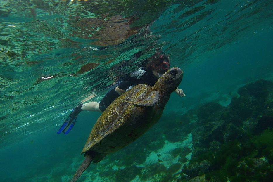 Le Galapagos sono uno degli ecosistemi più biodiversi e simbolici del pianeta